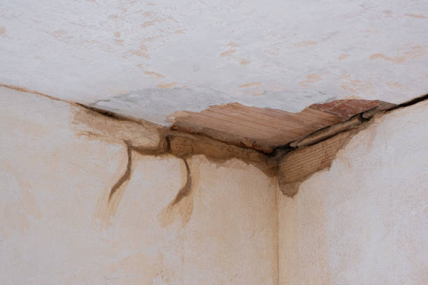Best 24-hour water damage restoration  in Ironwood, MI