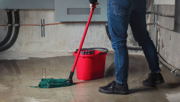 Carpet water damage restoration in Ironwood, MI