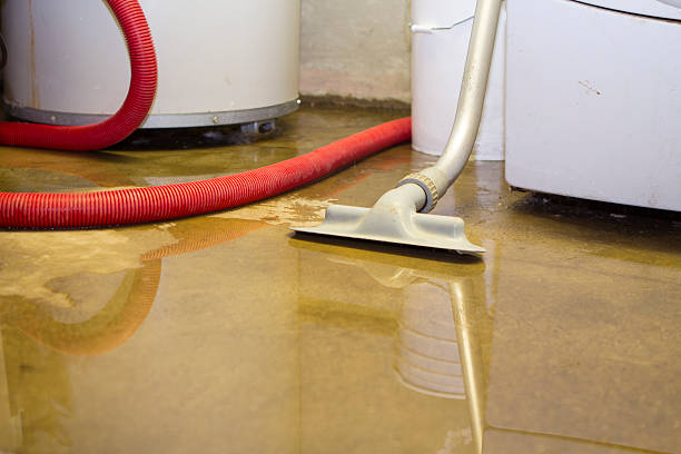 Best 24-hour water damage restoration  in Ironwood, MI