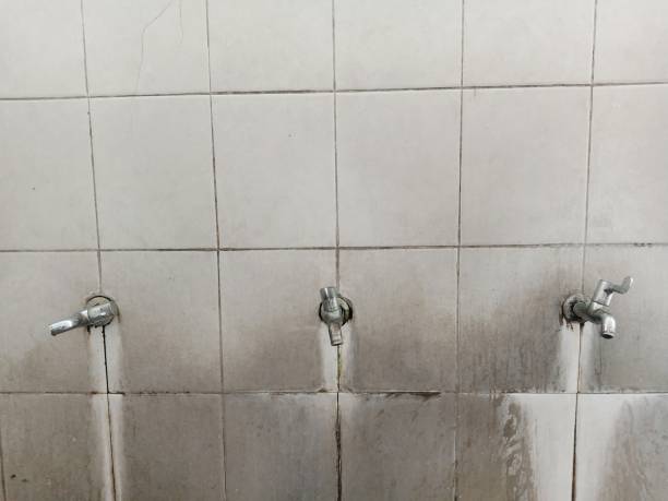 Best Local water damage restoration  in Ironwood, MI