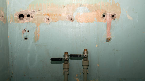 Best Flood damage cleanup  in Ironwood, MI