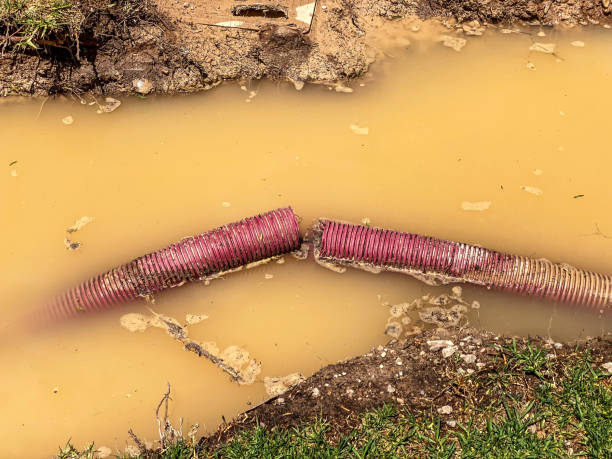 Best Carpet water damage restoration  in Ironwood, MI
