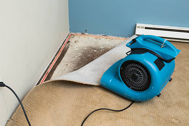 Best Flood restoration services  in Ironwood, MI